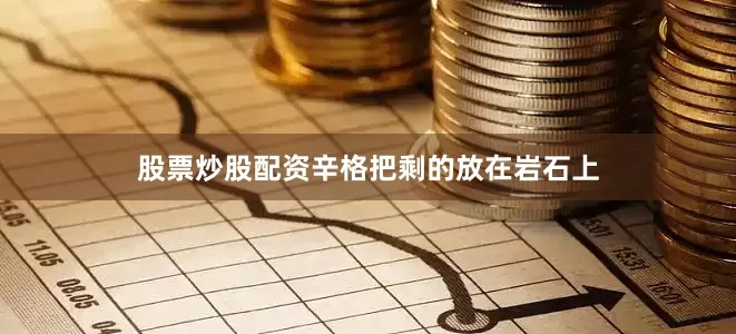 股票炒股配资辛格把剩的放在岩石上
