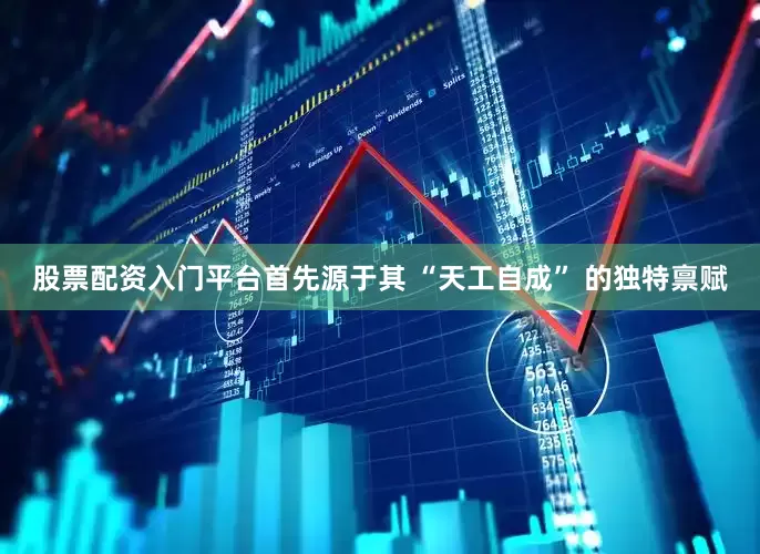 股票配资入门平台首先源于其 “天工自成” 的独特禀赋